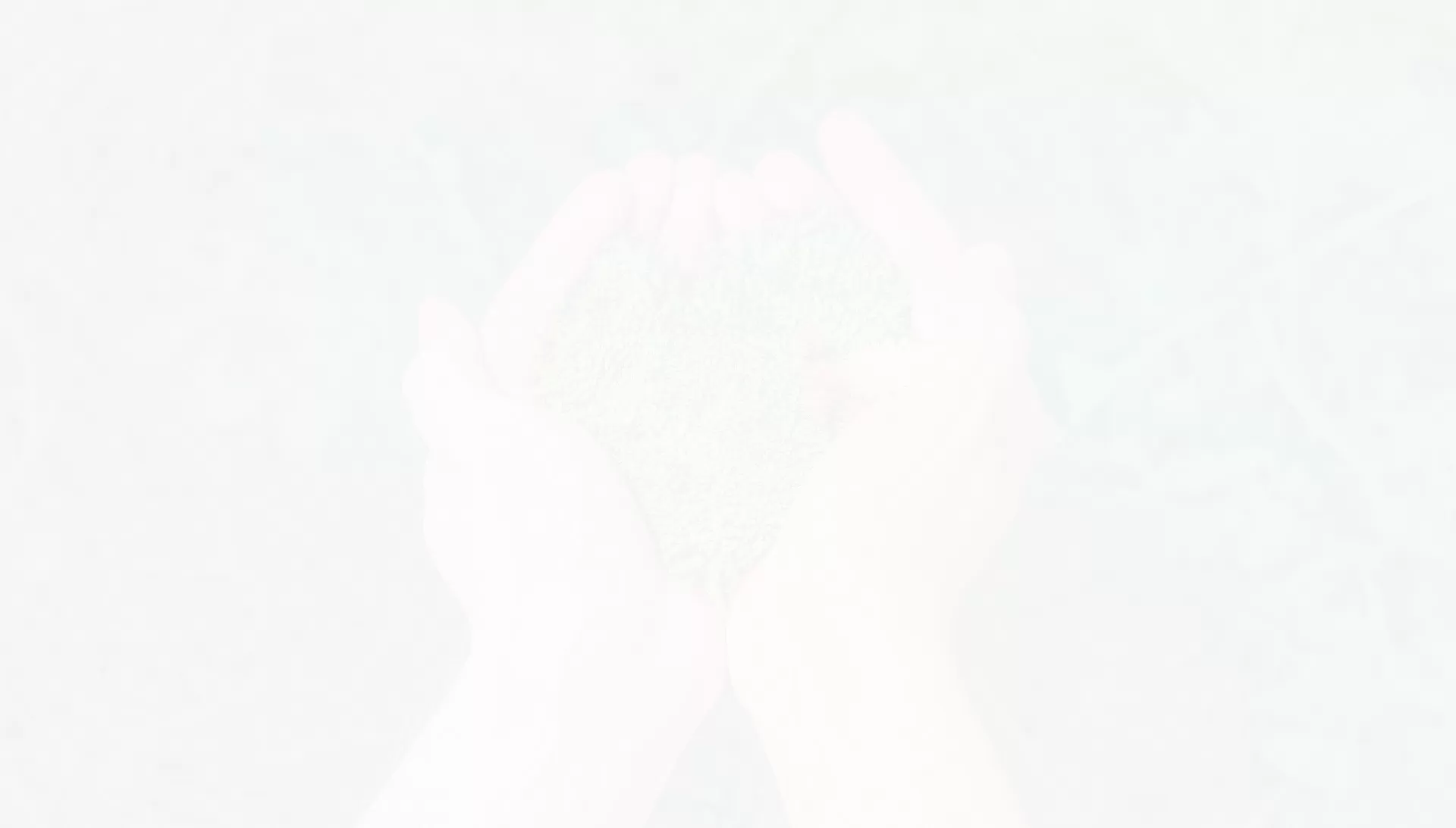 Etiqueta de seguridad suave