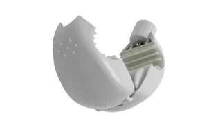 Etiqueta de águila T045